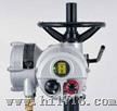 ROTORK英国IQT角形程电动执行器