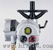 ROTORK英国IQT角形程电动执行器