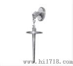 WST-102(101)系列液晶温度计 