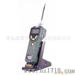 VOC检测仪PGM7300