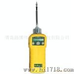 PGM7600VOC检测仪器