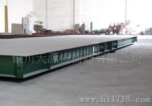 SCS-80电子地上衡
