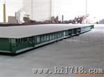 SCS-80电子地上衡