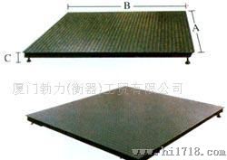 全电子地上衡SCS1-10