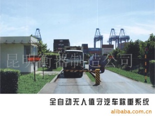 汽车系统称重衡器