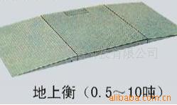 电子地上衡中小型