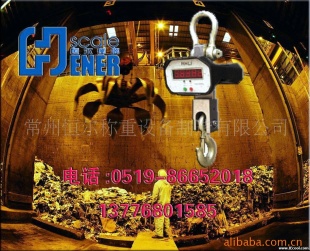 直视吊钩秤