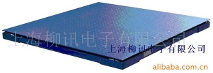 防爆电子秤