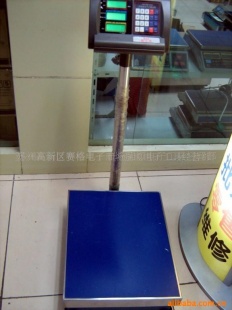 A16 -30kg/1g高精度地秤