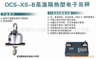 嘉兴方圆电子衡器
