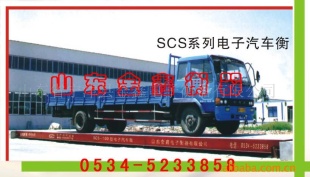 SCS-150T电子汽车衡