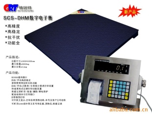 DHM数字电子衡