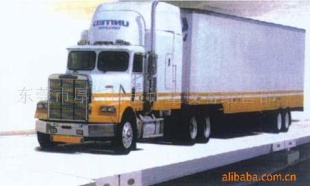 地上衡SCS-100T