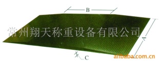 电子地上衡SCS系列