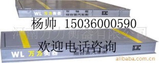 高精度经济型动静态轴重仪