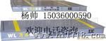 高精度经济型动静态轴重仪