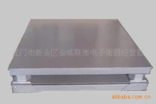 数字地磅XK319