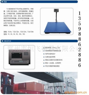 TCS型河南电子磅
