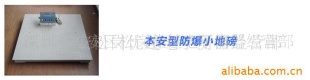 防爆式电子秤