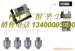 高分辨率数值式汽车衡