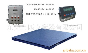 防爆电子地上衡SCS-3000
