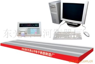 电子汽车衡器