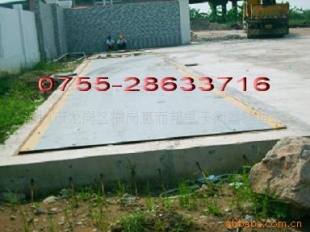 SCS系列各种规格地磅
