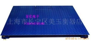 地上衡SCS