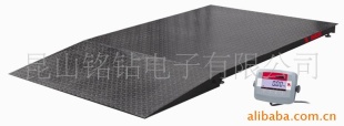 奥豪斯电子地磅