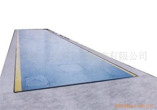 SCS汽车衡