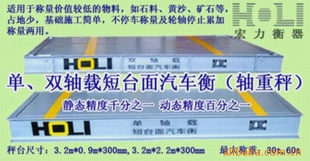 V12系类全电子汽车衡