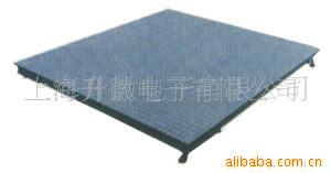 电子小地磅SCS-FW