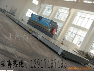 60吨汽车衡XK3190
