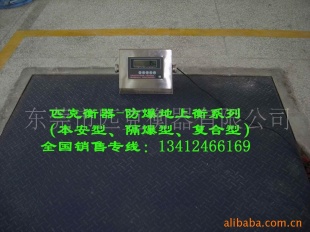防爆电子地上衡SCS-B30