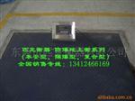 防爆电子地上衡SCS-B30