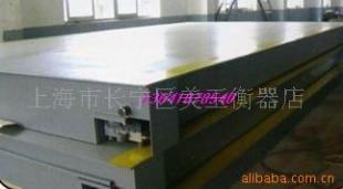 数字式汽车衡SCS