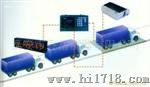 数字汽车衡SCS-10