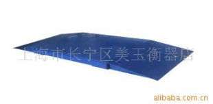 电子秤SCS