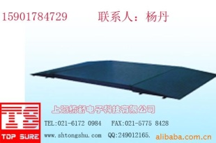 10t全电子小地磅