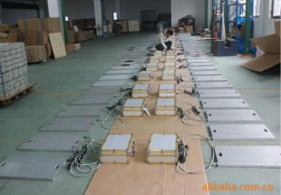上海杨浦区便携式汽车衡