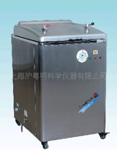 电热蒸汽消毒器YM75B