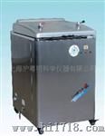 电热蒸汽消毒器YM75B