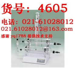 SZ-93双重蒸馏水器