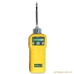 PGM-7600MiniRAE