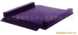 SCS—1电子地上衡