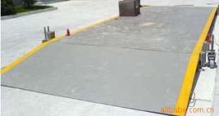 SCS-40数字式电子衡器