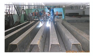 德国赛多利斯汽车衡30T-150T