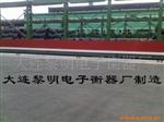 AA级电子地上衡