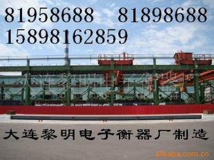 AA级汽车衡