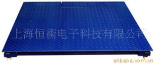 友声电子秤